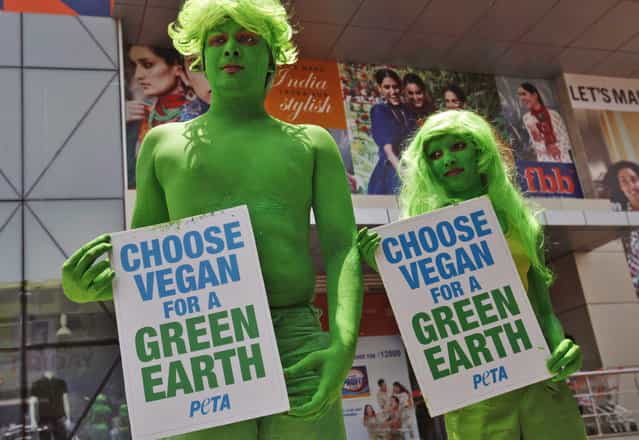 Indian activists of the People for the Ethical Treatment of Animals (PETA) with bodies painted in green hold placards during a vegetarianism campaign in Hyderabad, India, Monday, April 22, 2013. The campaign aims to remind people to switch to a healthy, animal and earth friendly vegan diet on the occasion of Earth Day. (Photo by Mahesh Kumar A./AP Photo)