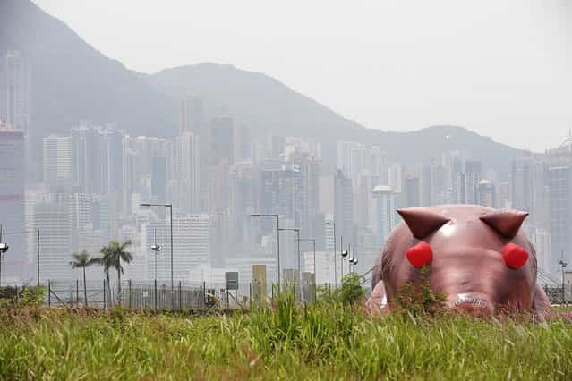 An inflatable sculpture of a pig called ['House of Treasures] by Chinese contemporary artist Cao Fei on display as part of the [Inflation!] exhibition curated by Mobile M + on April 24, 2013 in Hong Kong. The inflatable artwork is one of six on display as part of the exhibition which is open from April 25, 2013 until June 9, 2013. (Photo by Jessica Hromas)