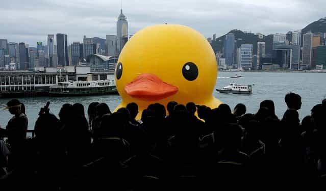 A 30-foot high rubber duck called [Spreading Joy Around the World], created by Dutch artist Florentijn Hofman, is towed along Hong Kong's Victoria Habour, on May 2, 2013. Since 2007 the Rubber Duck has traveled to various cites including Osaka, Sydney, Sao Paulo and Amsterdam. (Photo by Vincent Yu/Associated Press)