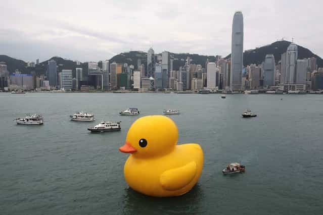 A giant Rubber Duck created by Dutch artist Florentijn Hofman is towed along Hong Kong's Victoria Habour Thursday, May 2, 2013. Since 2007 the 16.5-meter (54 feet)-tall Rubber Duck has traveled to various cites including Osaka, Sydney, Sao Paulo and Amsterdam. (Photo by Vincent Yu/AP Photo)