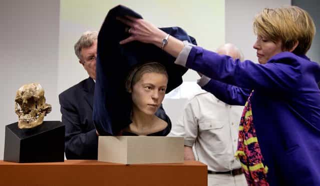 Doug Owsley, division head for Physical Anthropology at the National Museum of Natural History, and Kari Bruwelheide, a forensic anthropologist at the museum, unveil the facial reconstruction next to the skull of [Jane of Jamestown] during a news conference at the National Museum of Natural History, in Washington, on May 1, 2013. Scientists announced during the news conference that they have found the first solid archaeological evidence that some of the earliest American colonists at Jamestown, survived harsh conditions by turning to cannibalism, presenting the discovery of the bones of a 14-year-old girl, [Jane] that show clear signs that she was cannibalized. (Photo by Carolyn Kaster/Associated Press)