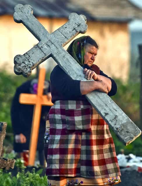 A woman carries a stone cross in a cemetery in the village of Copaciu, southern Romania, on May 2, 2013. As part of a Holy Week tradition, Romanians visit, on Maundy Thursday, the graves of their loved ones, light fires and share food with community members in memory of the departed. Orthodox worshipers celebrate Easter on May 5. (Photo by Andreea Alexandru/ Mediafax)