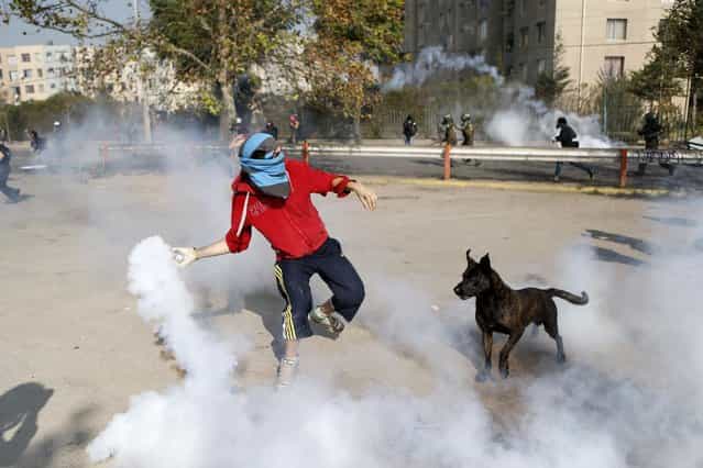 A student protester throws a tear gas canister against riot policemen during a riot at a rally demanding Chile's government reform the education system in Santiago, May 8, 2013. (Photo by Ivan Alvarado/Reuters)