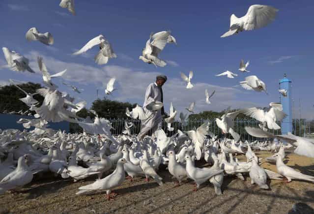 An Afghan man feeds pigeons outside the Hazrat Ali, or Blue Mosque, in Mazar-e-Sharif, May 8, 2013. (Photo by Omar Sobhani/Reuters)