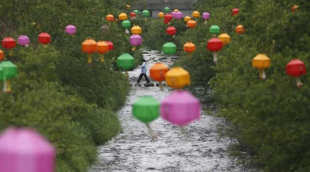 A woman crosses stepping-stones underneath lotus lanterns, which have been hung up in preparation for the upcoming of birthday of Buddha, along the Cheonggye stream in central Seoul May 14, 2013. Buddha's birthday falls on May 17 in South Korea. (Photo by Kim Hong-Ji/Reuters)