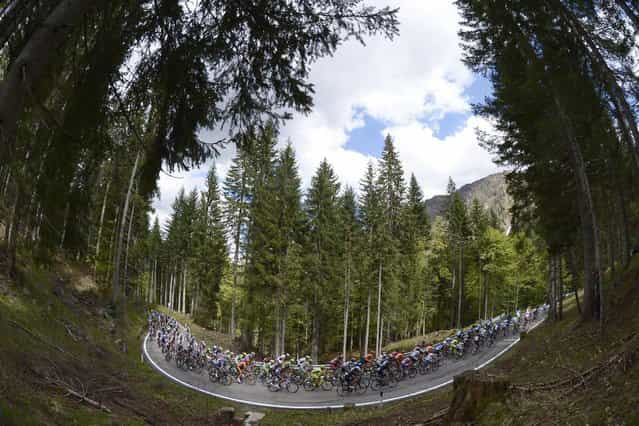 The pack pedals during the 11th stage of the Giro d'Italia, Tour of Italy cycling race, from Tarvisio to Vajont, Wednesday, May 15, 2013. (Photo by Fabio Ferrari/AP Photo)