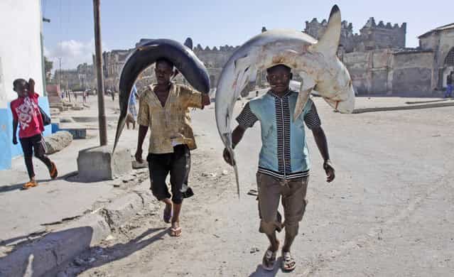 Somali fishermen carry their catch on their heads as they walk to the market in Mogadishu, Somalia, Friday May, 17, 2013. (Photo by Farah Abdi Warsameh/AP Photo)