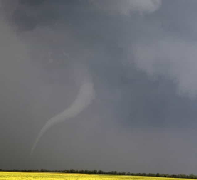 A tornado, one of several which touched down, is pictured near Viola, in Kansas May 19, 2013. (Photo by Gene Blevins/Reuters)