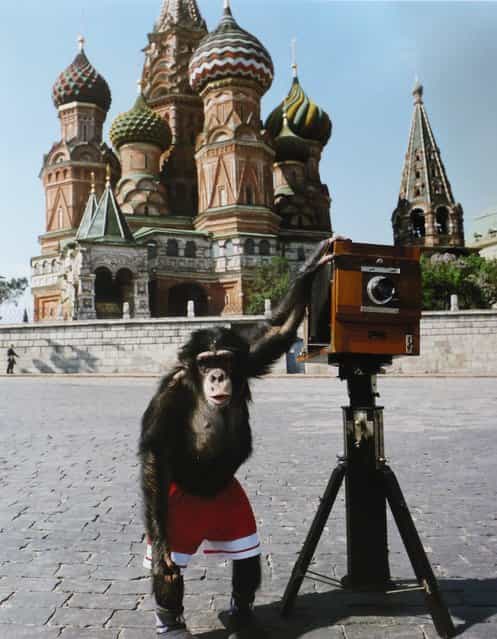Picture by Guzelian GUZELIAN: SAY BANANAS! COLLECTION OF PHOTOGRAPHS TAKEN BY A MONKEY GO UNDER THE HAMMER. A collection of one-of-a-kind photographs is set to go under the hammer - so unique because the set was taken by a CHIMPANZEE. Mikki the monkey's snapshots of Moscow's Red Square, Russia, show a blurry picture of life through an animal's eyes, to form the exhibition Our Moscow through the Eyes of Mikki. Contemporary artists Vitaly Komar and Alexander Melamid, two of the founding members of Moscow Conceptualism of the 1970s, discovered chimpanzee Mikki as a popular performer at the Moscow Circus. They taught the 15-year-old chimpanzee how to take photos with a Polaroid, and then by a regular analog and an antique camera. Mikki's take on the world presents a new perspective akin to experimental photography and reference millions of photos taken by tourists on a daily basis. The pictures, which will be sold at Sotheby's Auction House, London, on June 5, are expected to fetch between £50,000 - £70,000.