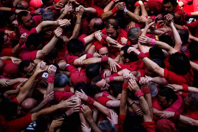 Members of the Castellers of Barcelona join their hands to start making their [castell] or human tower in the Barcelona neighborhood of Gracia, Spain, on May 19, 2013. A [castell] is a human tower traditionally built during festivals in many places in Catalonia. At these festivals, several [colles] or teams compete to build the most impressive towers they can. (Photo by Emilio Morenatti/Associated Press)