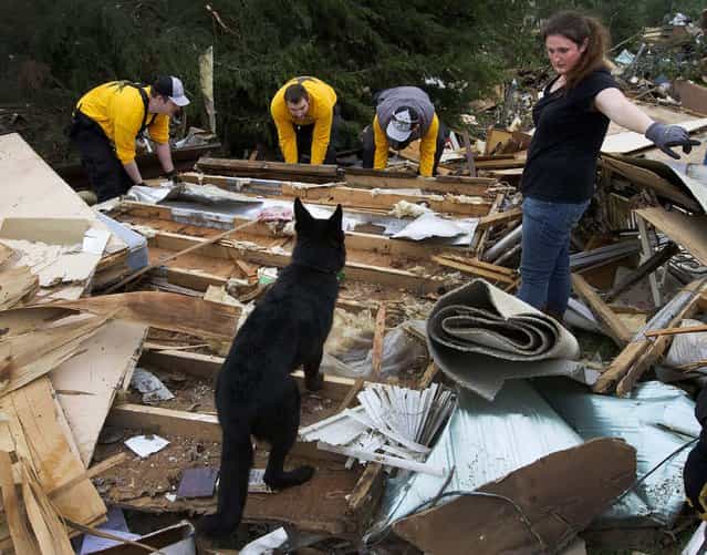 Rescuers search for lost animals after tornadoes hit Shawnee, Oklahoma on Monday. (Photo by Marcus DiPaola/Xinhua via Zuma Press/MCT)
