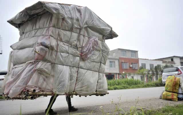 Liu Lingchao, 38, carries his makeshift dwelling as he walks along a road in Shapu township of Liuzhou, Guangxi Zhuang autonomous region May 21, 2013. Five years ago, Liu decided to walk back to his hometown Rongan county in Guangxi from Shenzhen, where he once worked as a migrant worker. With bamboo, plastic bags and bed sheets, Liu made himself a 1.5-metre-wide, 2-metre-high, [portable room] weighing about 60 kg (132 lb), to carry with him as he walks an average of 20 kilometres everyday. To support himself, Liu collects garbage all the way during the journey and he is now 20 miles away from his hometown, according to local media. Picture taken May 21, 2013. (Photo by Reuters/China Stringer)