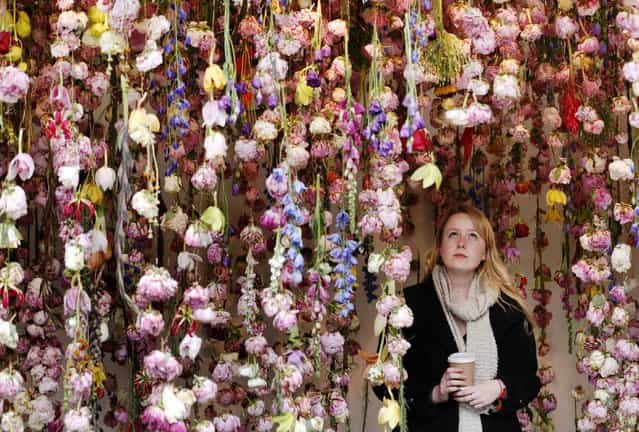 A woman walks through floral artist Rebecca Louise Law's stand at the Chelsea Flower Show in London May 21, 2013. (Photo by Luke MacGregor/Reuters)