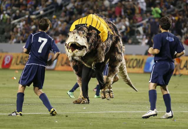 A Tyrannosaurus Rex dinosaur costume runs on the field as young boys play an exhibition soccer match during halftime of the MLS soccer game between the Los Angeles Galaxy and Seattle Sounders FC in Carson, California May 26, 2013. The dinosaur was on the field to promote the Natural History Museum of Los Angeles County. (Photo by Danny Moloshok/Reuters)