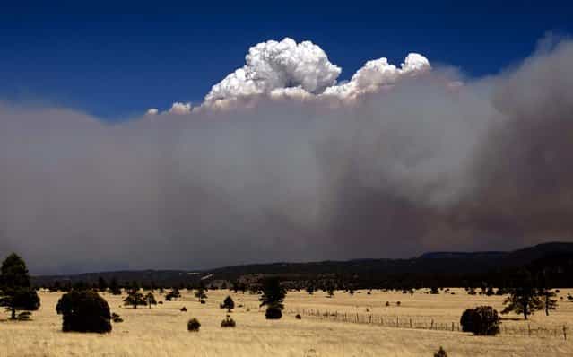 A smoke plume over the east side of the Wallow Fire climbs high into the sky as strong winds fanned the fire in Eager, 2011. (Photo by Pat Shannahan/The Arizona Republic)