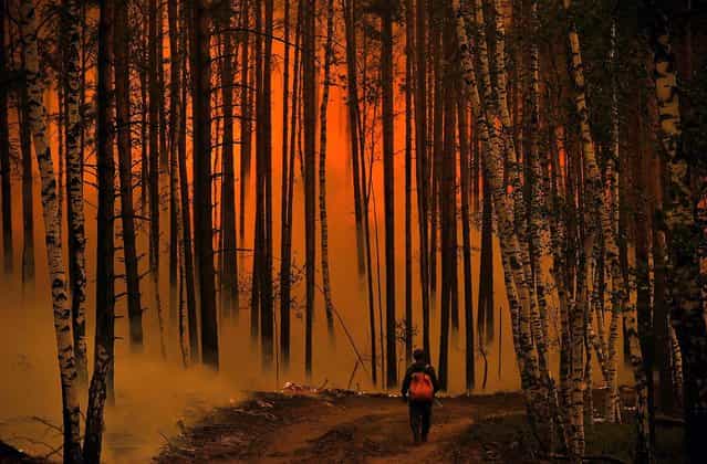A man walks in a forest near the village of Golovanovo, Ryazan region, on August 5, 2010, as Russia struggles to contain the worst wildfires in its modern history. (Photo by Natalia Kolesnikova/AFP/Getty Images)