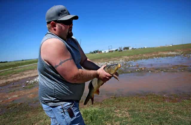 Eric Murray carries a grass carp back to a farm pond after it had been washed away due to the flooding caused when a tornado passed through El Reno, Oklahoma, on June 2, 2013. The tornado ripped through the area killing at least 9 people and injuring many others. (Photo by Joe Raedle/Getty Images)