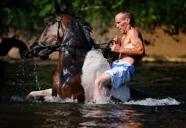 A traveller washes his horse in the waters of the River Eden in preparation for selling at the Appleby Horse Fair, on June 6, 2013. The fair is attended by about 5,000 travellers who come to buy and sell horses. The animals are washed and groomed before being ridden at high speed along the [mad mile] for the viewing of potential buyers. (Photo by Christopher Furlong/Getty Images)