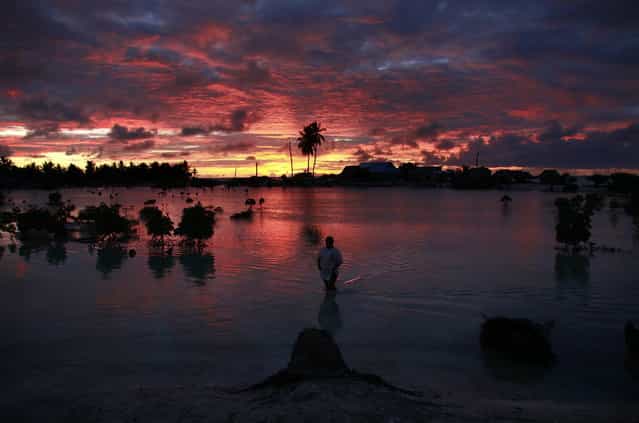 A villager wades through a small lagoon, which at high-tide laps at the base of homes, near the village of Tangintebu on South Tarawa in the central Pacific island nation of Kiribati May 25, 2013. (Photo by David Gray/Reuters)