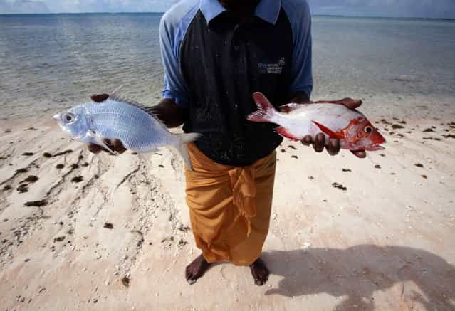 Kaibakia Pinata holds the fish he caught in his nets off Bikeman islet, located off South Tarawa in the central Pacific island nation of Kiribati May 25, 2013. (Photo by David Gray/Reuters)