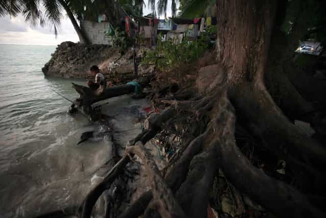 A girl sits on a log next to the roots of a tree, which have been exposed as a result of high-tides, near the village of Teaoraereke on South Tarawa in the central Pacific island nation of Kiribati May 25, 2013. (Photo by David Gray/Reuters)