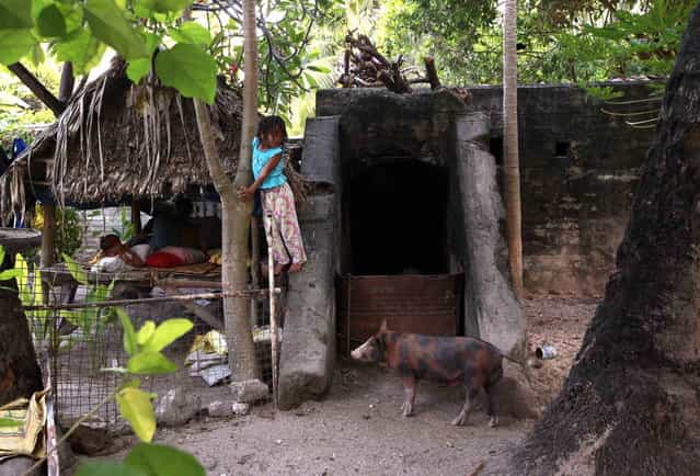 A girl stands on a World War Two Japanese bunker, which is being used as a pigsty, next to her home in the village of Betio on South Tarawa in the central Pacific island nation of Kiribati May 23, 2013. (Photo by David Gray/Reuters)