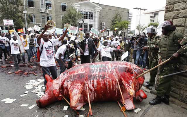 Protestors attack an effigy of a pig covered with rotten anumal blood during a demonstration outside the parliament after lawmakers voted themselves hefty salary increases on June 11, 2013 in Nairobi. The protestors had intended to occupy the parliament but were not allowed in by anti-riot police. (Photo by Thomas Mukoya/Reuters)