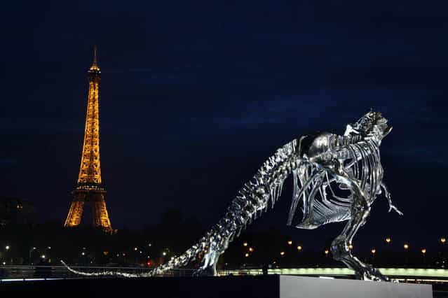 A giant chrome brushed aluminium skeleton of a Tyrannosaurus (T-Rex) dinosaur (R), made by French sculptor and painter Philippe Pasqua, stands at the pier of riverboat company Bateaux-Mouches on June 12, 2013 in Paris, with the Eiffel tower in the background (L). (Photo by Claire Lebertre/AFP Photo)