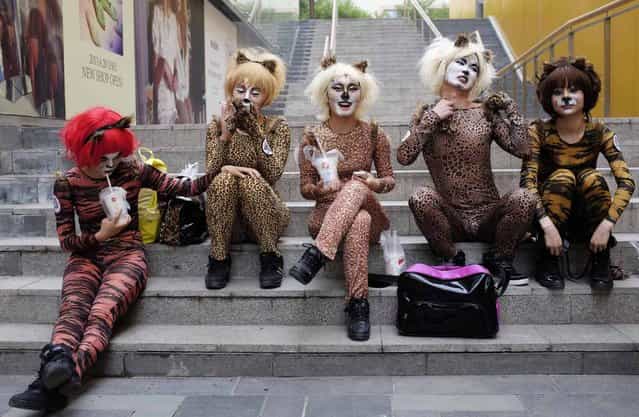 Volunteers in animal costumes wait to perform in an event to promote a love for dogs, in Beijing's Sanlitun area, June 20, 2013. Dog lovers and animal rights activists have called for the cancellation of an annual dog meat festival scheduled to take place on Friday in Yulin, Guangxi Zhuang autonomous region, voicing concerns over animal cruelty and food safety, according to China Daily. (Photo by Jason Lee/Reuters)
