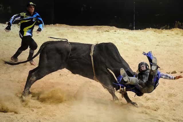 Jason Mara competes in the bull riding event during the National Rodeo Finals on the Gold Coast, on June 16, 2013. (Photo by Matt Roberts/Getty Images)