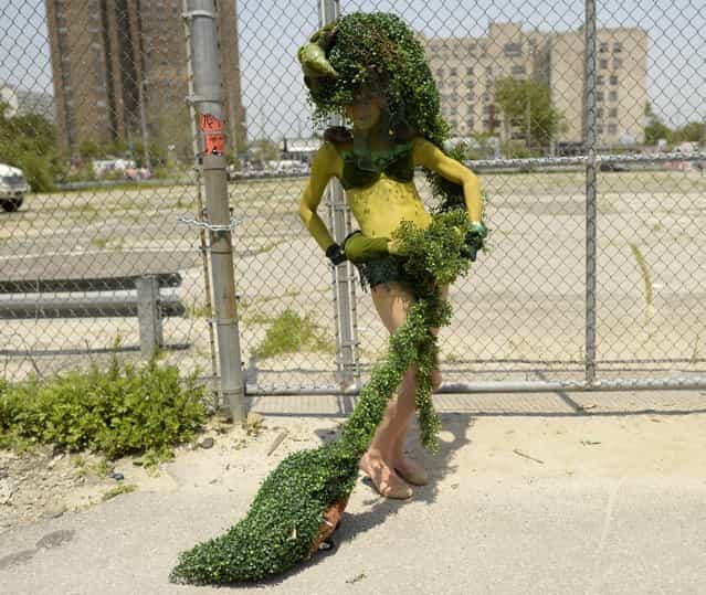 A parade participant arrives in costume for the 31st Annual Mermaid Parade at New York's Coney Island on June 22, 2103. Over 700,00 people are exptected to turn out for the scantily clad parade. AFP PHOTO / TIMOTHY CLARY (Photo credit should read TIMOTHY CLARY/AFP/Getty Images)