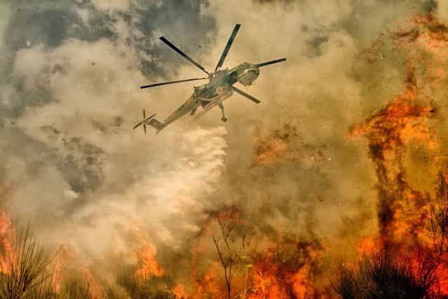Engulfed in flames, it's difficult for the pilots to see where they are flying as they struggle to bring the fire under control. (Photo by Antonio Grambone/Caters News Agency Ltd)