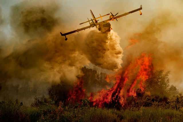 Dramatic: Sweeping low over the flames, the pictures resemble a modern version of an Italian masterpiece painting. (Photo by Antonio Grambone/Caters News Agency Ltd)
