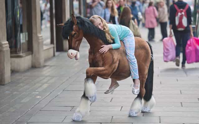 A child poses for photographs on a Clydesdale Prancing Pony during a photocall at Hamleys toy shop in London on June 27, 2013. Hamleys unveiled the [must have] toys for Christmas 2013 at the companys' flagship Regent Street store in London. (Photo by Will Oliver/AFP Photo)