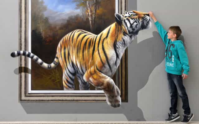 Dustin poses next to an art work depicting a tiger and created in a special 3D-technique by a Chinese-Korean artist group on June 27, 2013 at the exhibition [Du bist die Kunst!] (You are the Art!) at Augustusburg Palace in Augustusburg near Chemnitz, eastern Germany. Visitors are invited to take pictures of themselves interacting with the art and to share the results on social networks. The show is running until November 10, 2013. (Photo by Hendrik Schimidt/AFP Photo)