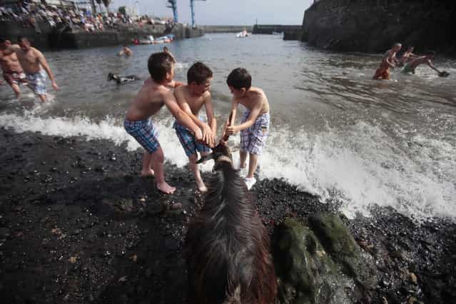 Children try to pull a goat into the water during the ritual [Bano de las Cabras] (Bathing of the goats), as part of the traditional San Juan (Saint John) festival, on a beach of Puerto de la Cruz on the Spanish Canary island of Tenerife on June 24, 2013. (Photo by Desiree Martin/AFP Photo)