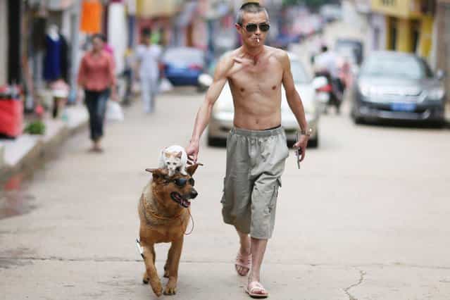 Xu Jin, 42-year-old retired paramilitary policeman, walks with his dog Wangcai and cat Mimi on a street in Kunming, Yunnan province, China, on June 23, 2013. (Photo by Wong Campion/Reuters)