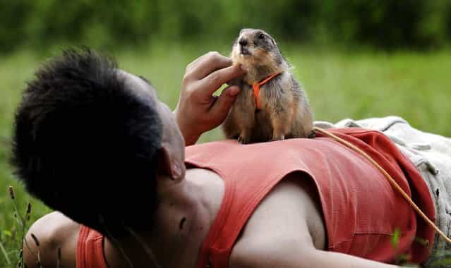 Hiroyuki Ota plays with his prairie dog, Cookie, at a park in Tokyo, on June 23, 2013. (Photo by Shizuo Kambayashi/Associated Press)