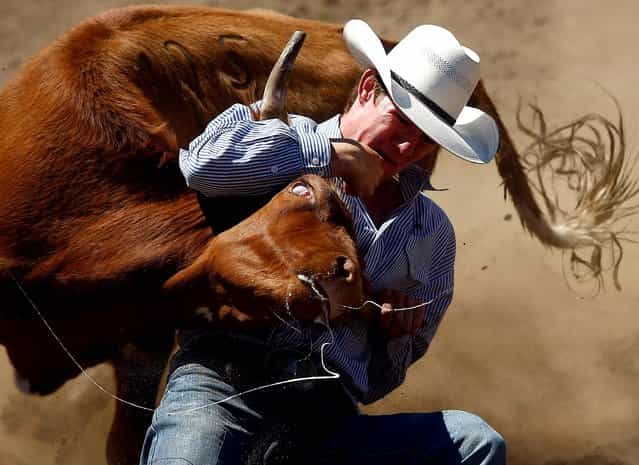 Dalton Massey competes in the steer wrestling event during the Yoncalla Rodeo in Yoncalla, Oregon, on July 4, 2013. (Photo by Michael Sullivan/The News-Review)