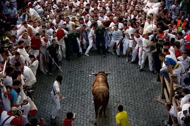 An Alcurrucen's ranch fighting bull runs towards revelers. (Photo by Daniel Ochoa de Olza/Associated Press)