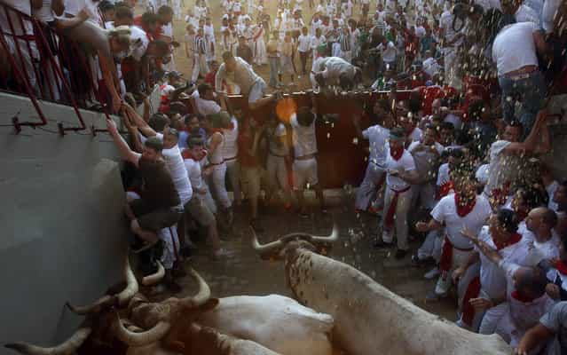Runners get trapped by steers at the entrance to the bull ring during the third running of the bulls at the San Fermin festival in Pamplona July 9, 2013. (Photo by Susana Vera/Reuters)