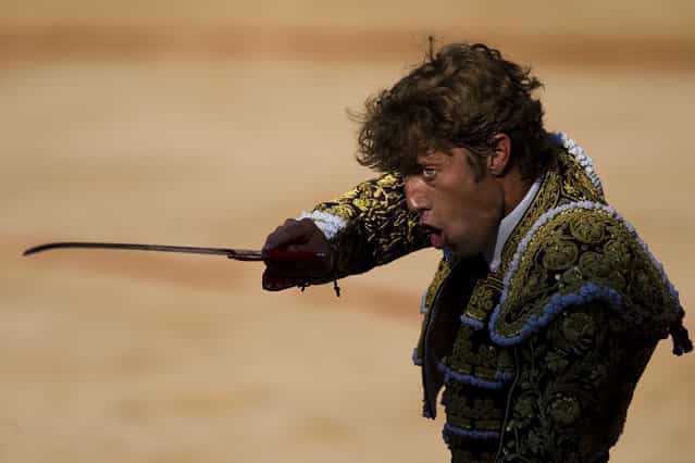 Spanish bullfighter Manuel Escribano aims his sword before killing a Dolores Aguirre fighting bull during a bullfight of the San Fermin festival, in Pamplona, Spain, Monday, July 8, 2013. Revelers from around the world arrive to Pamplona every year to take part on some of the eight days of the running of the bulls glorified by Ernest Hemingway's 1926 novel [The Sun Also Rises]. (Photo by Daniel Ochoa de Olza/AP Photo)