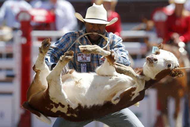 Cory Solomon of Prairie View, Texas flips a calf in the tie-down roping event during the finals of the 101st Calgary Stampede rodeo in Calgary, Alberta, July 14, 2013. (Photo by Todd Korol/Reuters)
