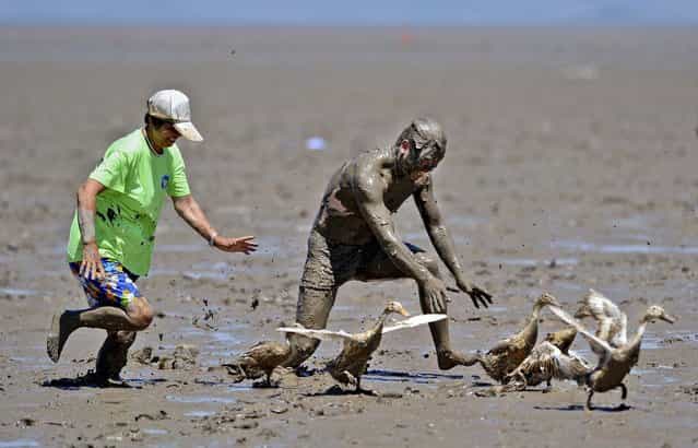Participants try to catch ducks in a muddy field, during a competition at a park in Daishan county, Zhejiang province, on July 17, 2013. The competition is part of a sea mud carnival held by the local tourism organization. (Photo by Reuters/China Daily)