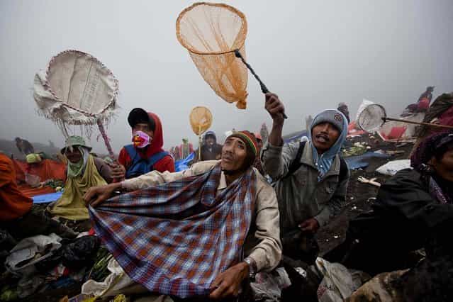 Villagers hold nets as they wait to catch offerings thrown by Hindu worshippers at the crater of Mount Bromo during the Yadnya Kasada Festival in Probolinggo, East Java, Indonesia, on July 24, 2013. The festival, celebrated by the Tenggerese people, lasts about a month. On the fourteenth day, the Tenggerese make the journey to Mount Bromo to make offerings of rice, fruits, vegetables, flowers and livestock to the mountain gods by throwing them into the volcano's caldera. (Photo by Ulet Ifansasti/Getty Images)