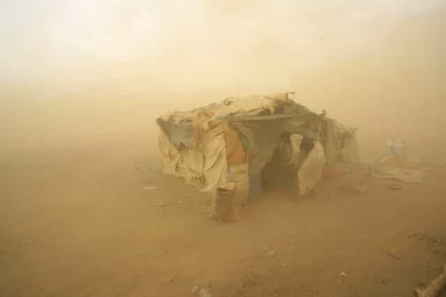 A gold mine worker takes shelter from a sandstorm in Al-Ibedia locality at River Nile State, July 30, 2013. (Photo by Mohamed Nureldin Abdallah/Reuters)