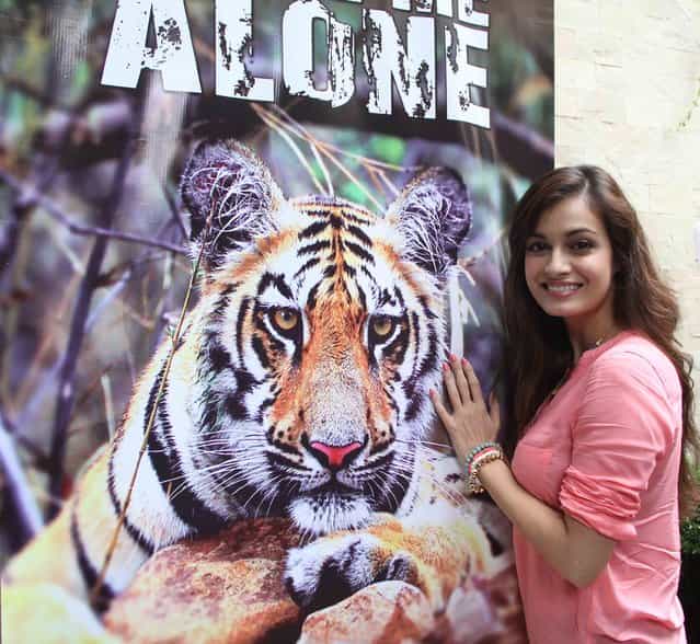 Bollywood actress, model and producer Dia Mirza at the launch of [Leave me alone] campaign, at the Mumbai Press Club on July 26, 2013. (Photo by Kemmannu News Network)