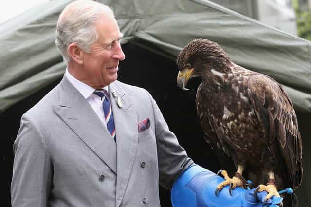 Prince Charles, Prince of Wales holds a bald eagle called Zephyr during a visit to the 132nd Sandringham Flower Show at Sandringham House in King's Lynn, England, on August 1, 2013. (Photo by Chris Jackson/WPA Pool)