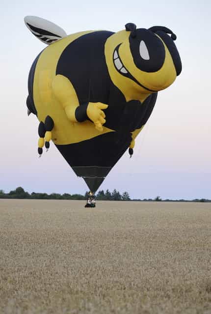A hot-air balloon shaped as a giant bee is filled with air before flyingover Chambley-Bussieres, eastern France, on July 31, 2013, as part of an event trying to set a world record with 408 balloons in the sky, as part of the yearly event [Lorraine Mondial Air Ballons], an international air-balloon meeting. (Photo by Jean-Christophe Verhaegen/AFP Photo)