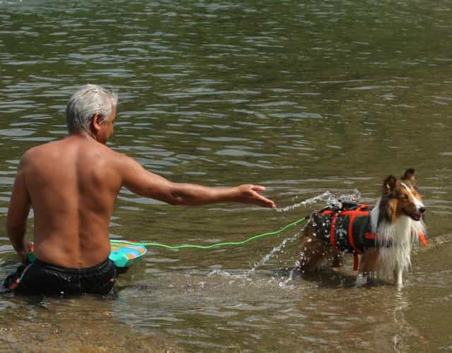A man and his pet dog bathes in the water at Takeno Beach on August 4, 2013 in Toyooka, Japan. This beach is open for dogs and their owners every summer between the months of June and September. (Photo by Buddhika Weerasinghe/Getty Images)
